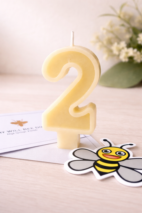 Number 2 Birthday Candle