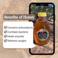 North Florida Wildflower Honey | Raw 1 lb | Thy Will Bee Done Apiary, High Springs FL – view 2