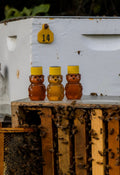 Save the Bees Gift Box , Friendship Gift, Thank you Box, Birthday Present, Self Care Gift Box – view 4