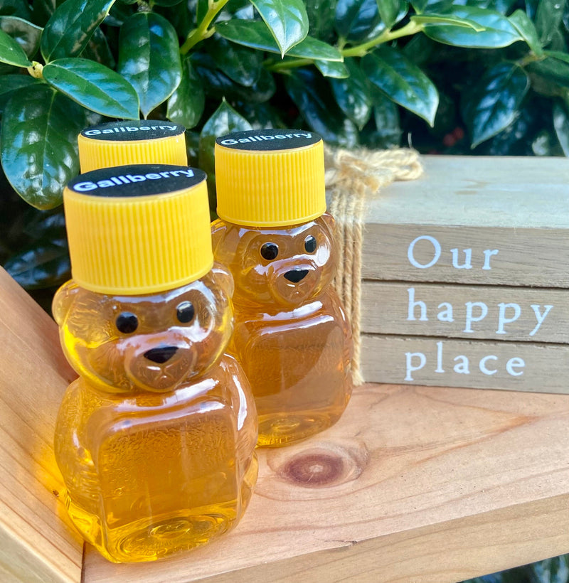 Mini Pure Honey Bear Bottles, Bear Party Honey Favors, Edible Party Favors, Oh Honey Party, Bee Favor