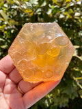 Manuka Honeycomb Soap, Honey Apricot Bee Soaps, Honey Bee Soap Favors, Bee Bathroom and Kitchen Soap, Honeybee Soap Bee Gift - view 4