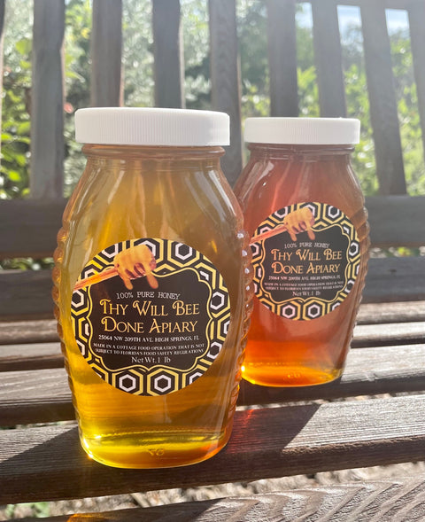 Raw Local Honey, Florida Wildflower 1lb Glass Jar Raw Honey, All Natural Pure Honey, Gallberry Honey