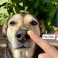 Pet Repair Balm, Dog Paw and Nose Lotion Bar, Pet Care Gift for Dog Lover, Paw Protector, Gift for Dog - view 2