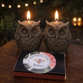 Owl Beeswax Candle, Woodland Party Favor, Nature Candle, Owl Gift