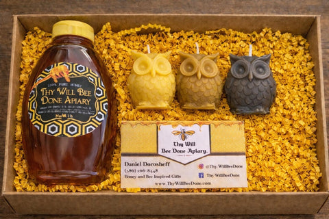 Honeybee Gift, Woodland Owl and Honey Gift Set, Florida Honey Gift Box, Honeybee Nature Box, Beeswax Candles