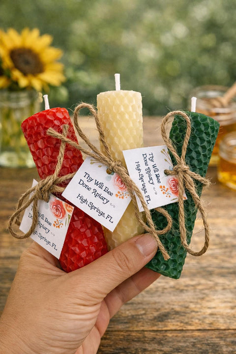 Set of THREE Beeswax Rolled Candles, Hand-rolled Honeycomb Candles