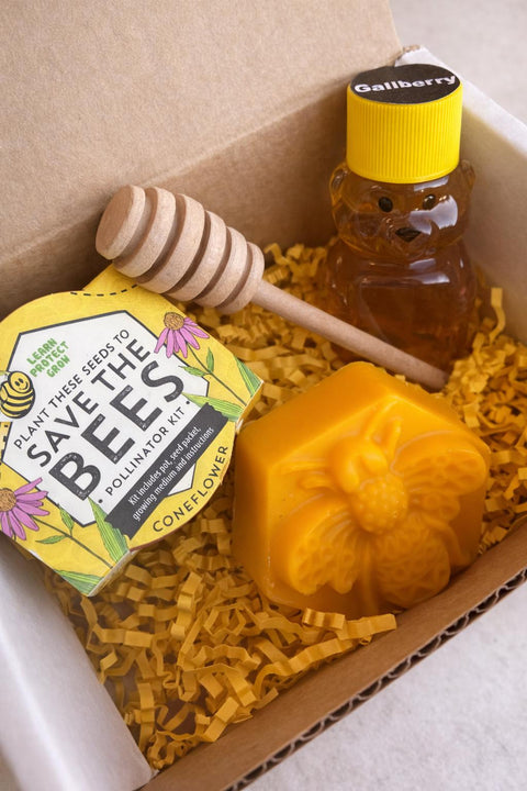 Monthly Subscription Honey Bee Box, Bee Gift Box With Florida Honey and Organic Soap